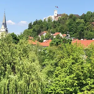 Castle View Apartment